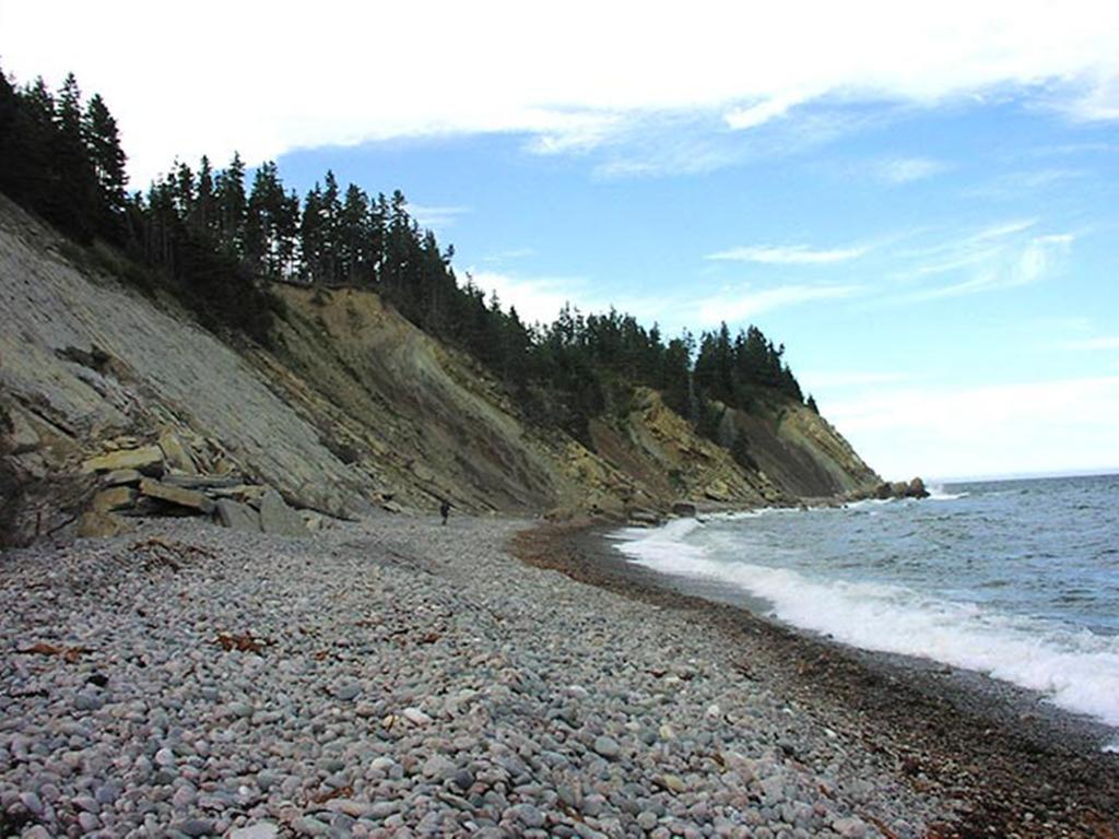 Breton Cove Farmhouse Indian Brook Buitenkant foto