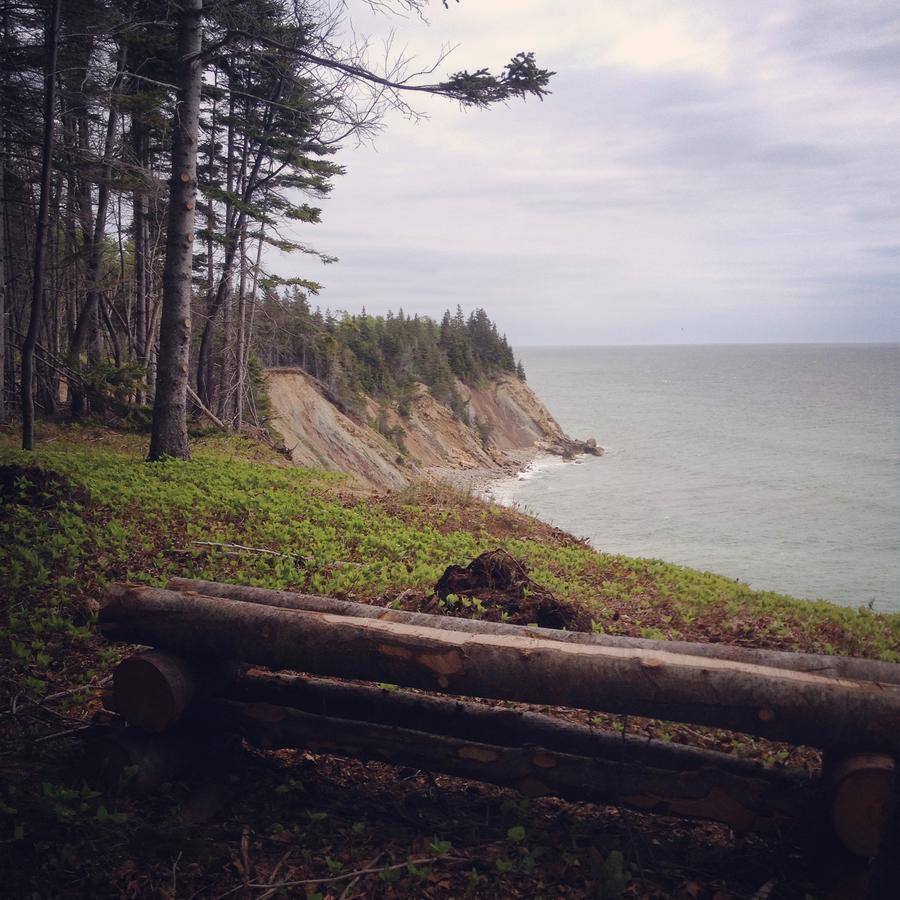 Breton Cove Farmhouse Indian Brook Buitenkant foto